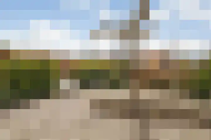 Zwanenbloem 8 Zwolle thumbnail 35