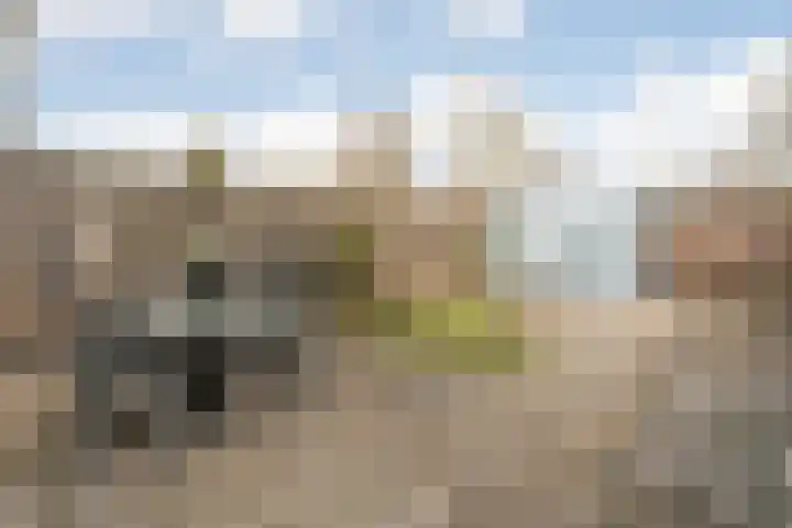 Zwanenbloem 8 Zwolle thumbnail 36