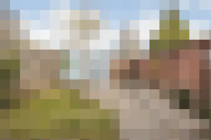 Zwanenbloem 8 Zwolle thumbnail 37