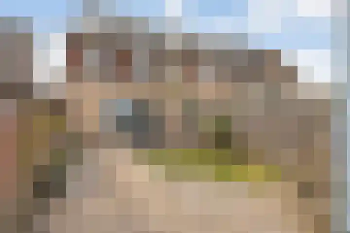Zwanenbloem 8 Zwolle thumbnail 38