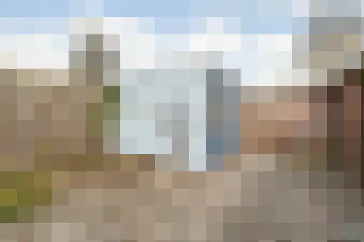 Zwanenbloem 8 Zwolle thumbnail 39