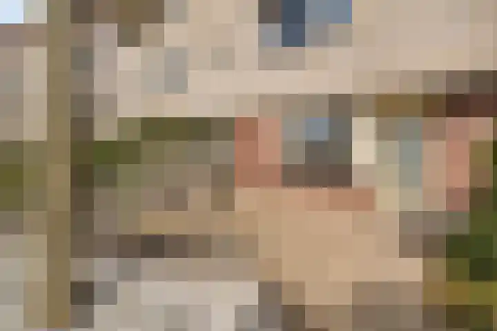 Zwanenbloem 8 Zwolle thumbnail 4