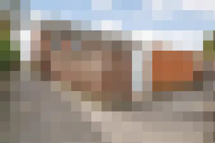 Zwanenbloem 8 Zwolle thumbnail 40