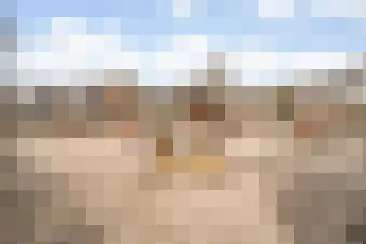 Zwanenbloem 8 Zwolle thumbnail 41