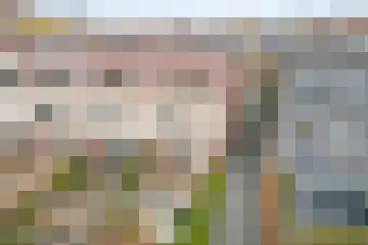 Zwanenbloem 8 Zwolle thumbnail 42