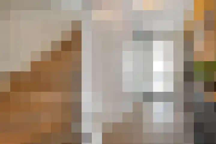 Zwanenbloem 8 Zwolle thumbnail 5