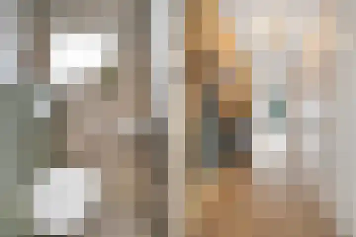 Zwanenbloem 8 Zwolle thumbnail 6