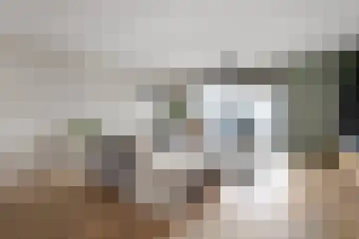 Zwanenbloem 8 Zwolle thumbnail 7