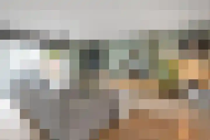 Zwanenbloem 8 Zwolle thumbnail 8