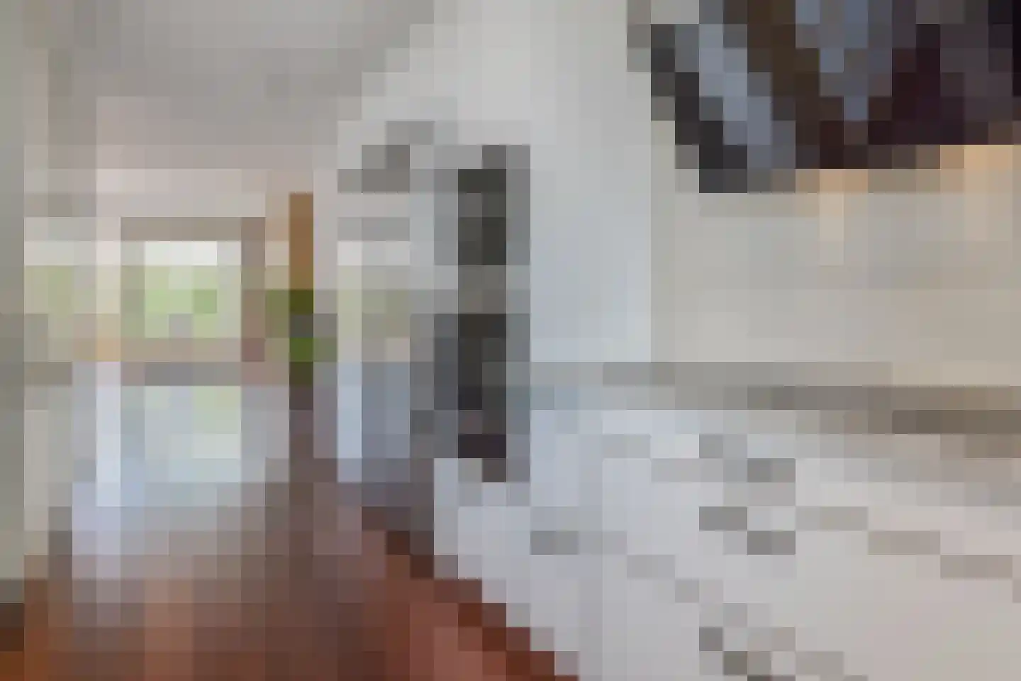 Zwanenbloemkade 4 Den Haag thumbnail 12