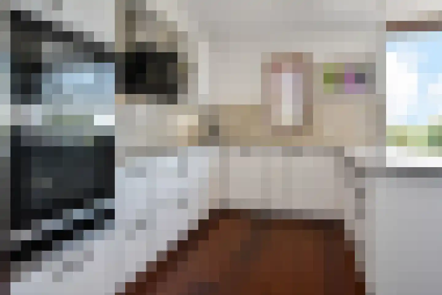 Zwanenbloemkade 4 Den Haag thumbnail 6