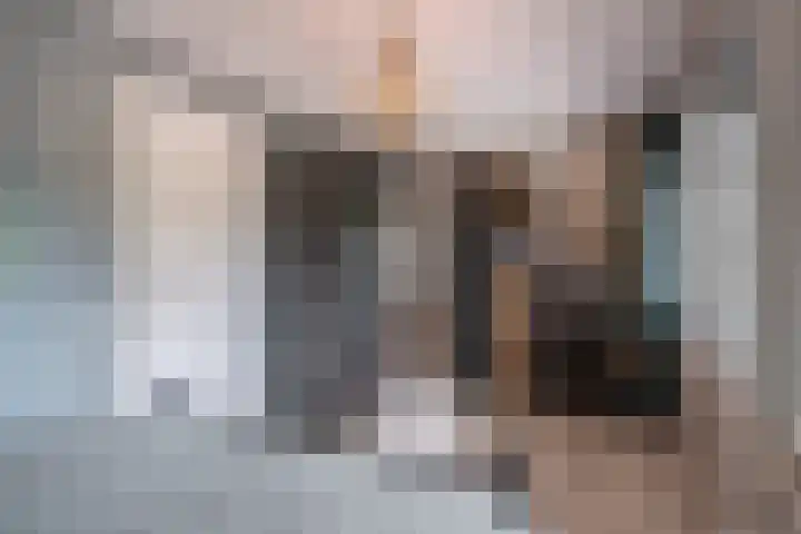 Zwanenbloemstraat 2 Heerhugowaard thumbnail 18