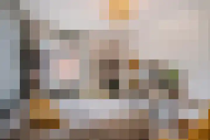 Zwanenbloemstraat 2 Heerhugowaard thumbnail 22