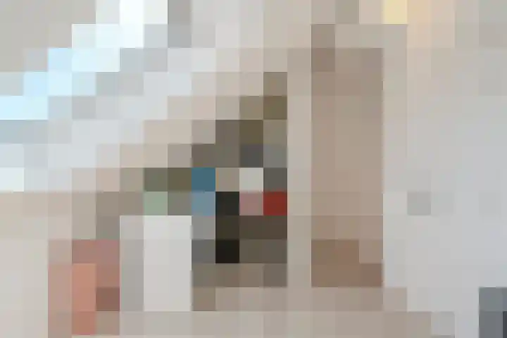 Zwanenbloemstraat 2 Heerhugowaard thumbnail 27
