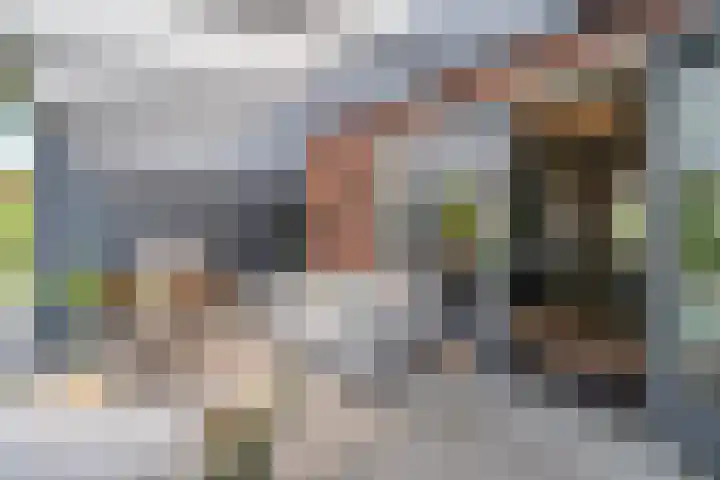 Zwanenbloemstraat 2 Heerhugowaard thumbnail 31