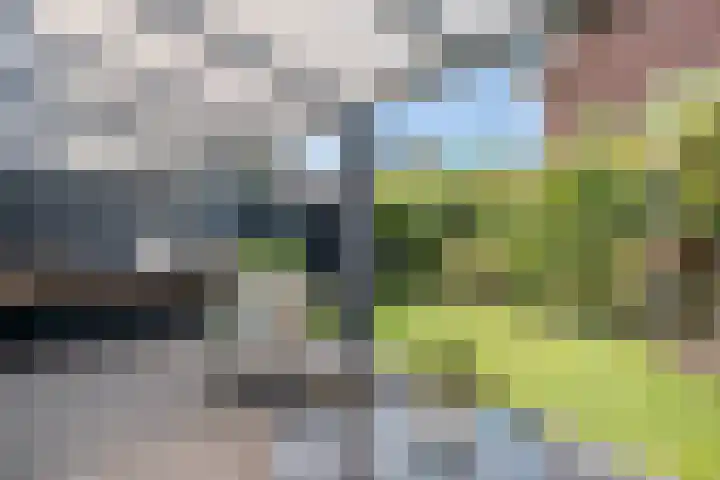 Zwanenbloemstraat 2 Heerhugowaard thumbnail 32