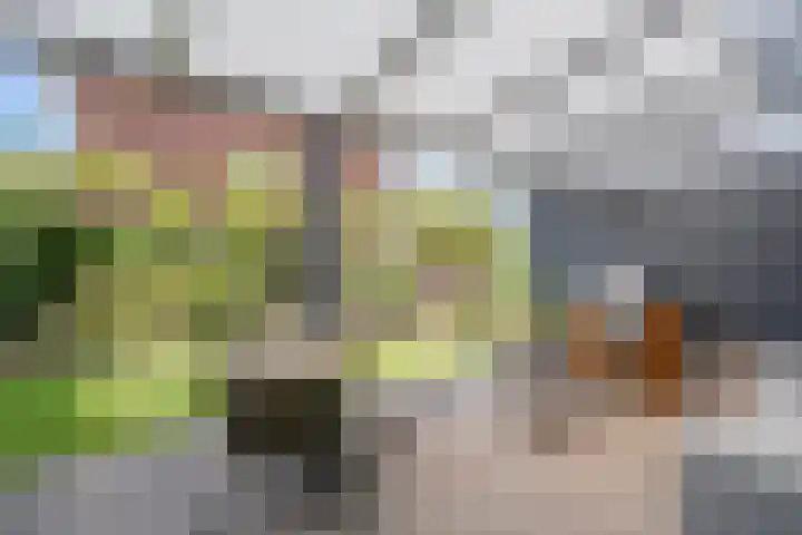Zwanenbloemstraat 2 Heerhugowaard thumbnail 33