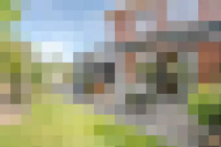Zwanenbloemstraat 2 Heerhugowaard thumbnail 34
