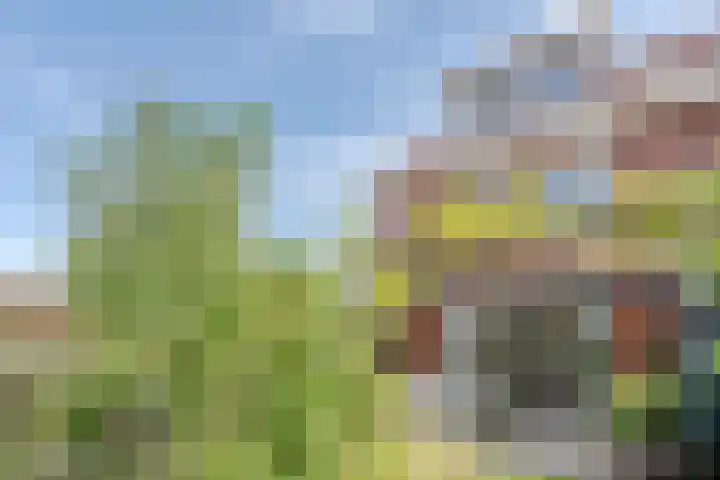 Zwanenbloemstraat 2 Heerhugowaard thumbnail 35