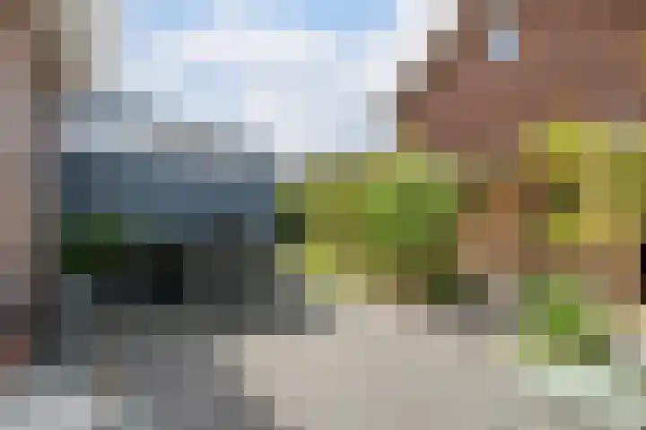 Zwanenbloemstraat 2 Heerhugowaard thumbnail 37