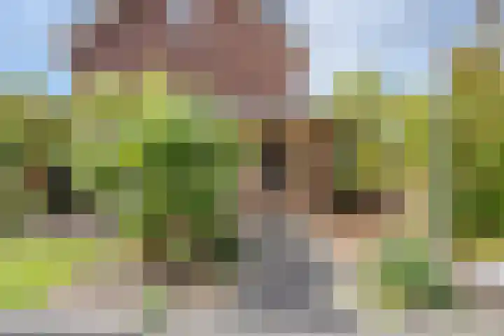 Zwanenbloemstraat 2 Heerhugowaard thumbnail 38