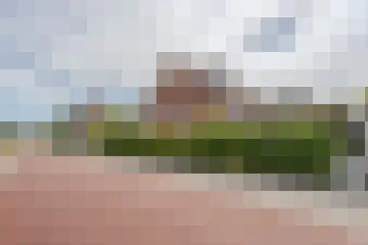 Zwanenbloemstraat 2 Heerhugowaard thumbnail 44