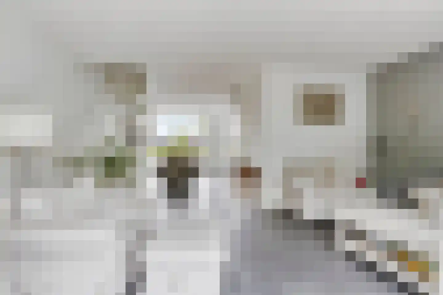 Zwanenbloemstraat 23 Heerhugowaard thumbnail 11