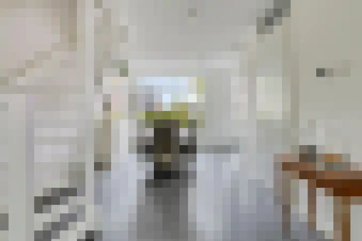 Zwanenbloemstraat 23 Heerhugowaard thumbnail 13