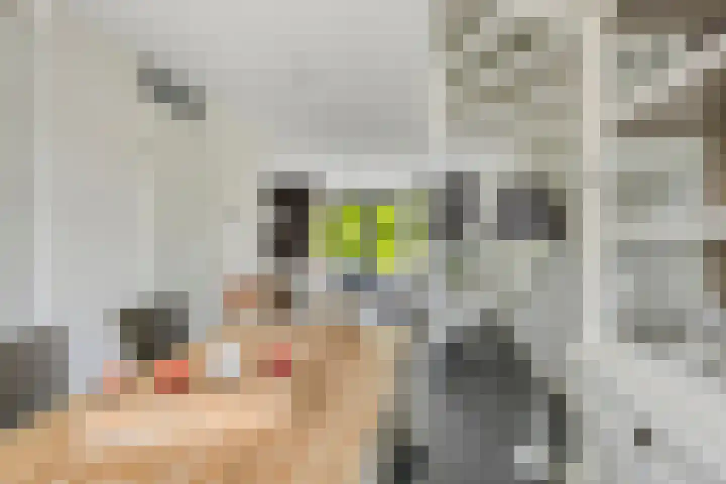 Zwanenbloemstraat 23 Heerhugowaard thumbnail 15