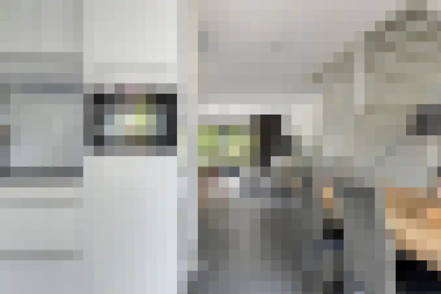 Zwanenbloemstraat 23 Heerhugowaard thumbnail 18