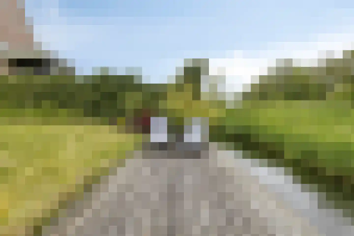 Zwanenbloemstraat 23 Heerhugowaard thumbnail 36