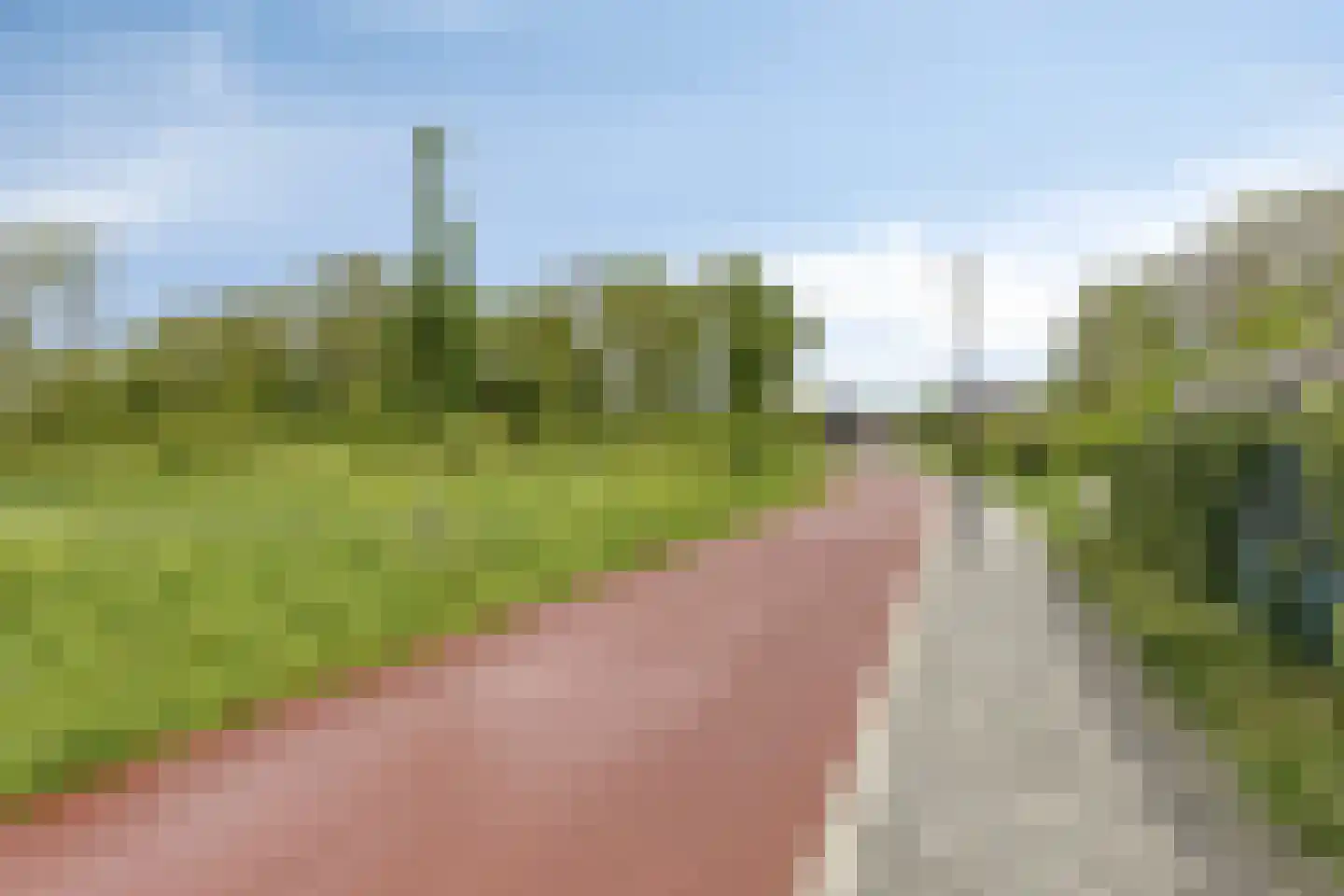Zwanenbloemstraat 23 Heerhugowaard thumbnail 37