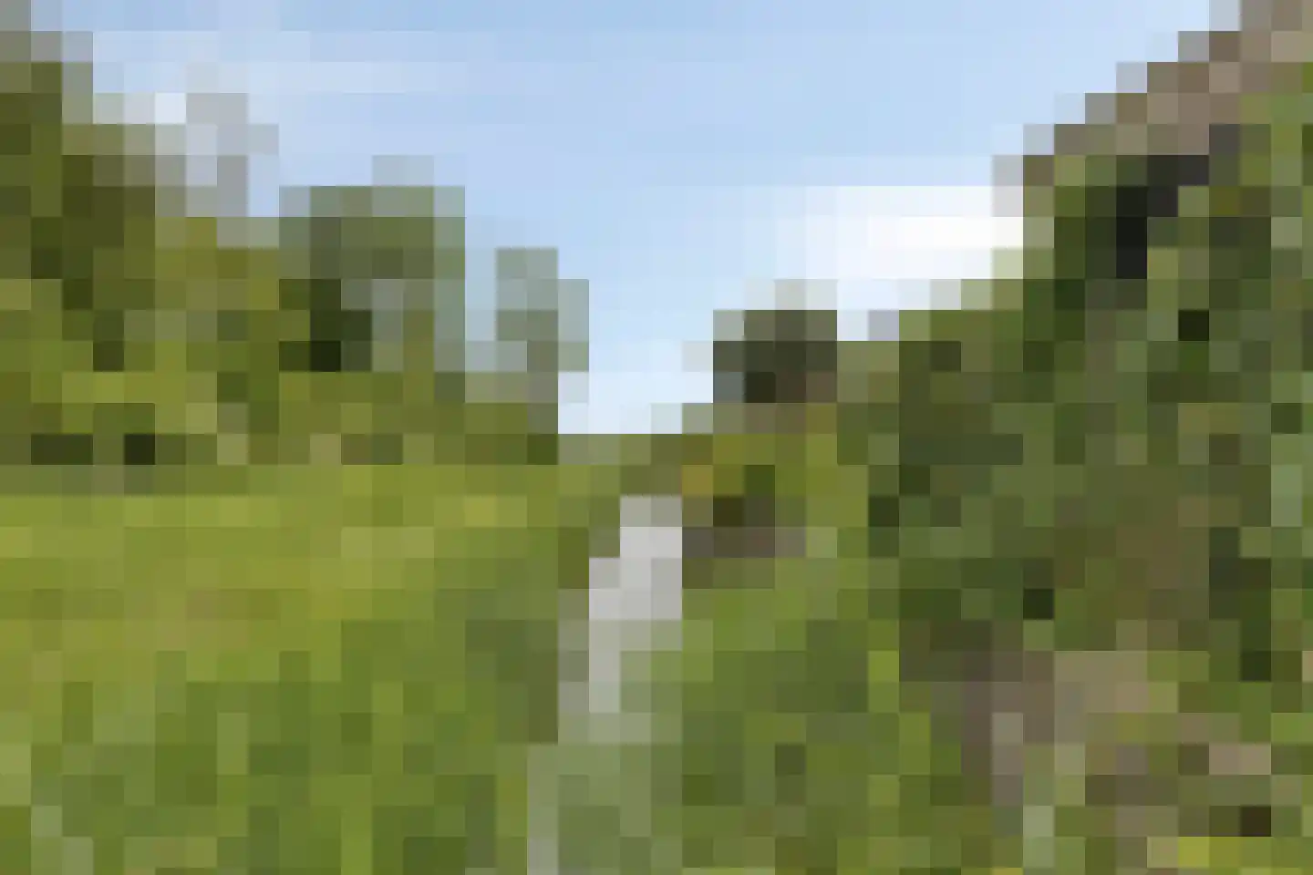Zwanenbloemstraat 23 Heerhugowaard thumbnail 38
