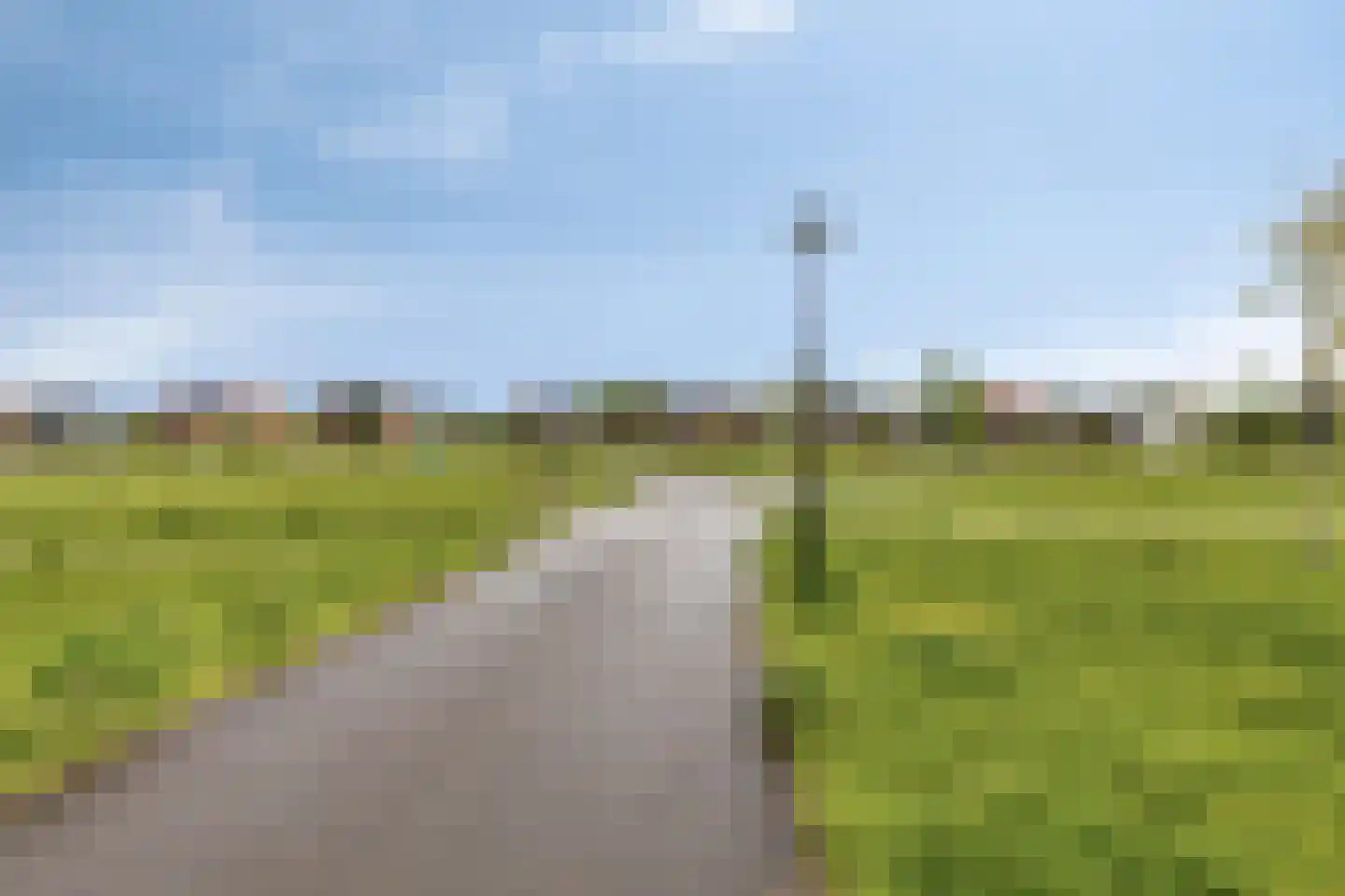 Zwanenbloemstraat 23 Heerhugowaard thumbnail 41