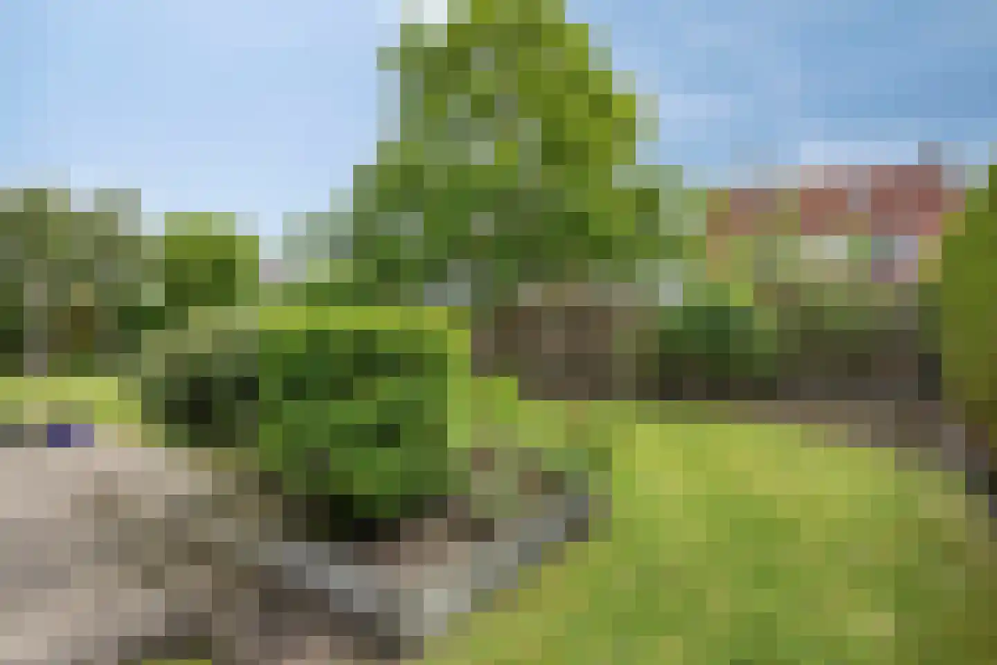 Zwanenburg 11 's-Heer Hendrikskinderen thumbnail 30