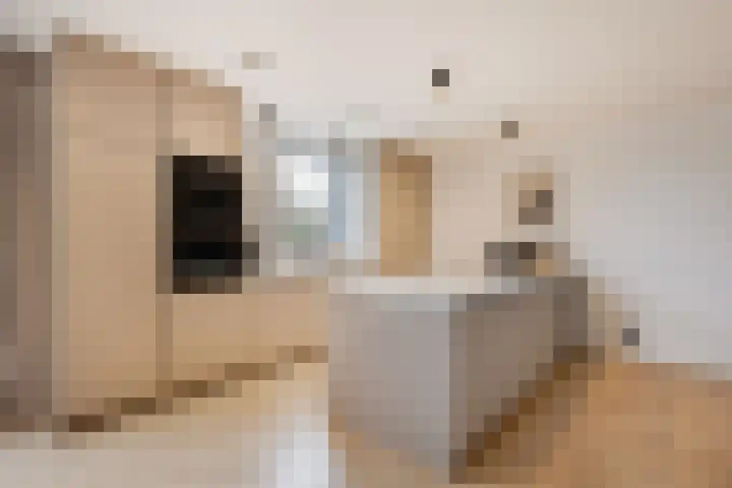 Zwanenburgerdijk 29 Vijfhuizen thumbnail 10