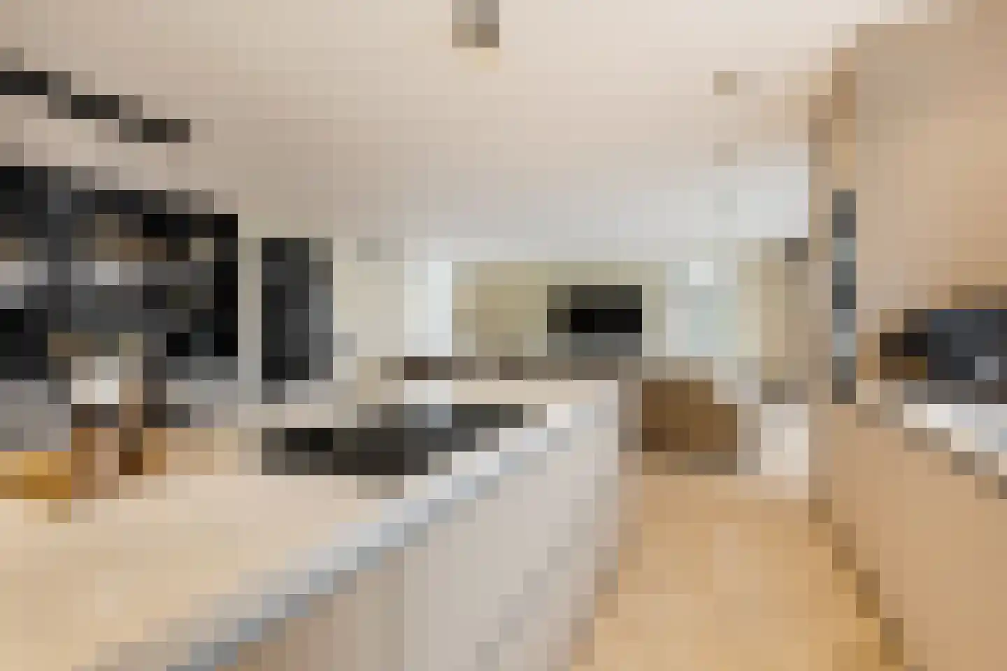 Zwanenburgerdijk 29 Vijfhuizen thumbnail 12