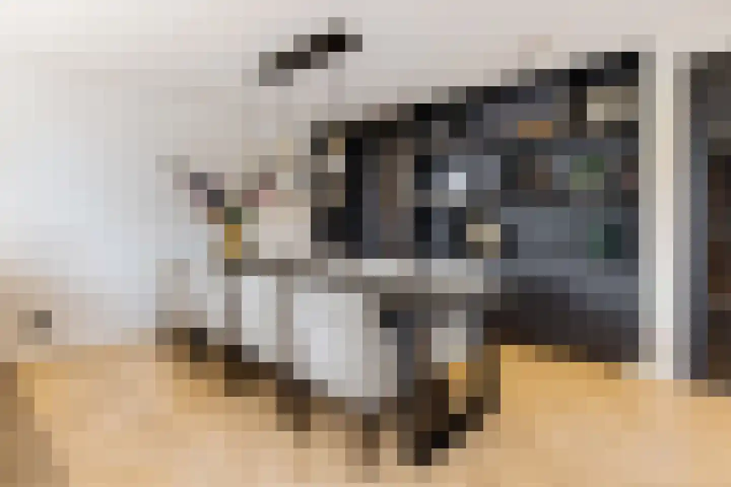 Zwanenburgerdijk 29 Vijfhuizen thumbnail 14