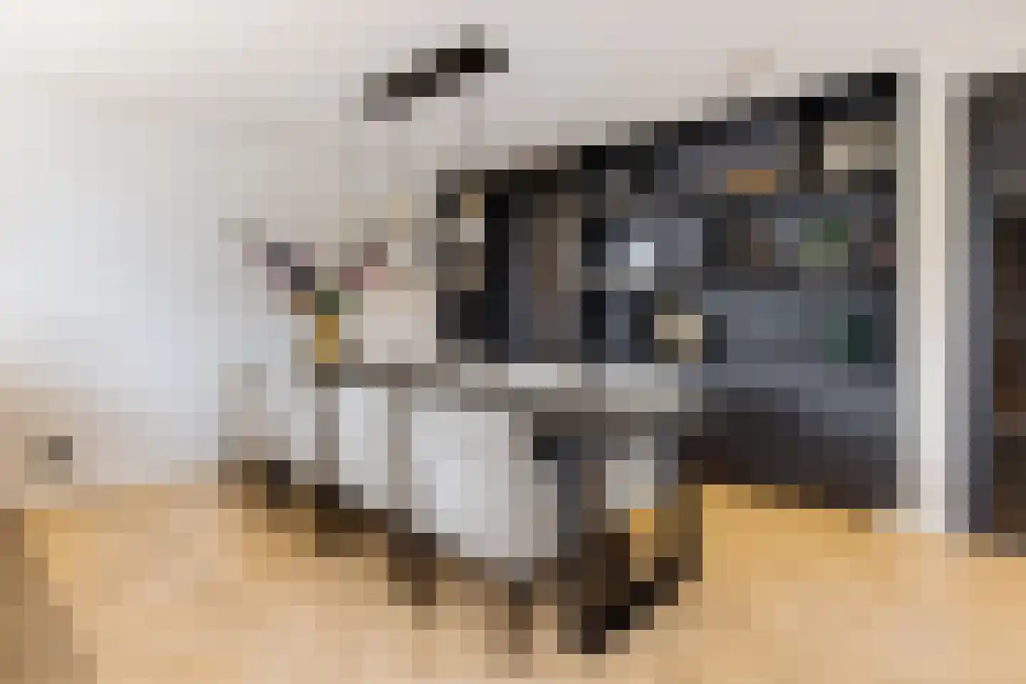 Zwanenburgerdijk 29 Vijfhuizen thumbnail 14
