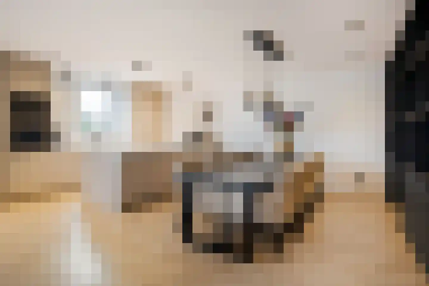 Zwanenburgerdijk 29 Vijfhuizen thumbnail 15