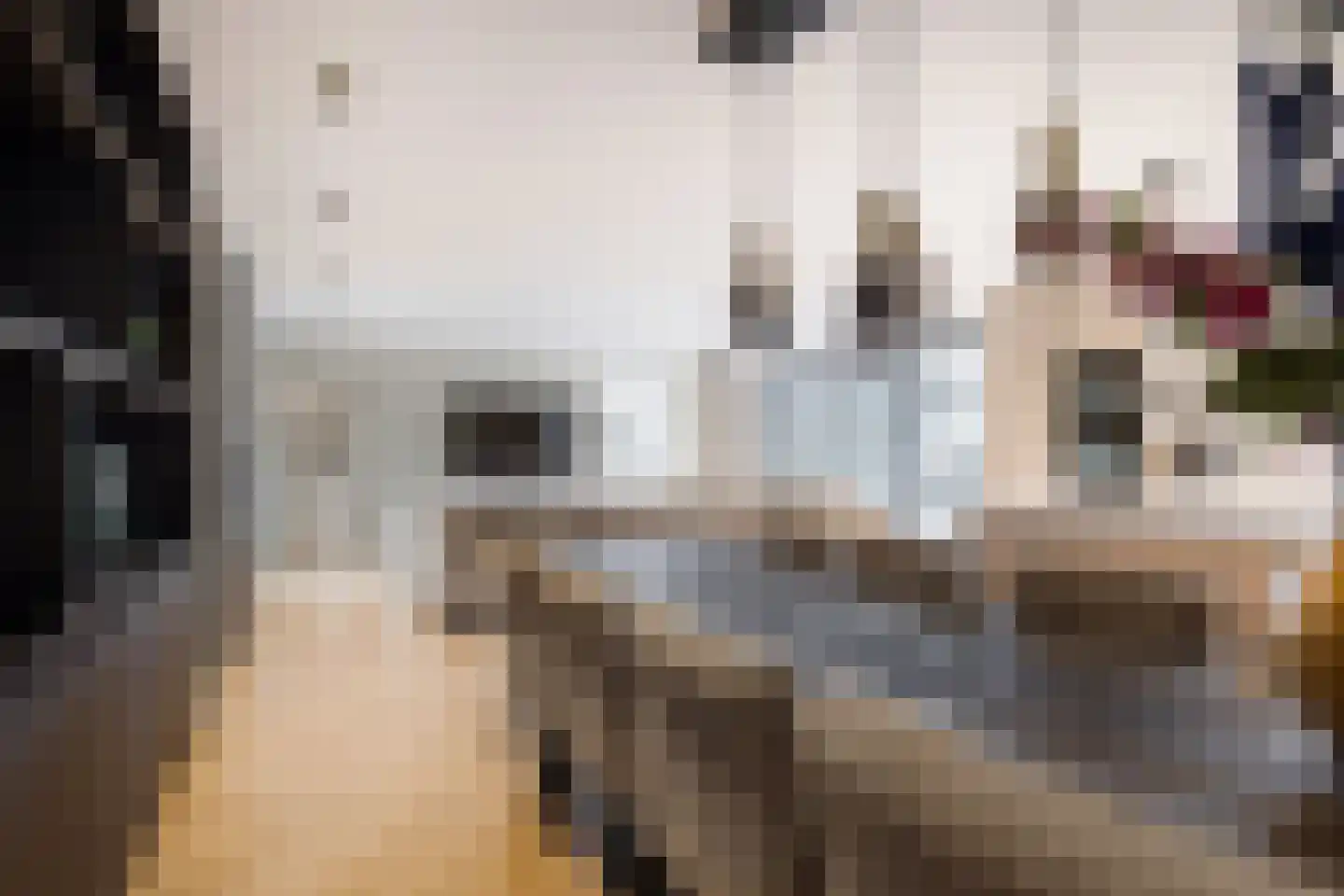 Zwanenburgerdijk 29 Vijfhuizen thumbnail 16