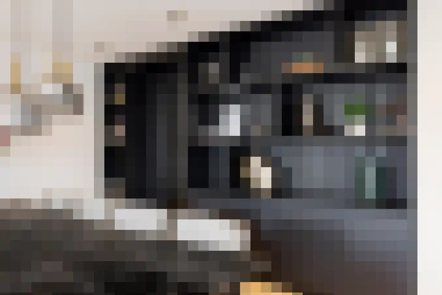 Zwanenburgerdijk 29 Vijfhuizen thumbnail 17