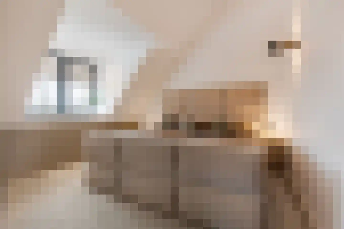 Zwanenburgerdijk 29 Vijfhuizen thumbnail 29