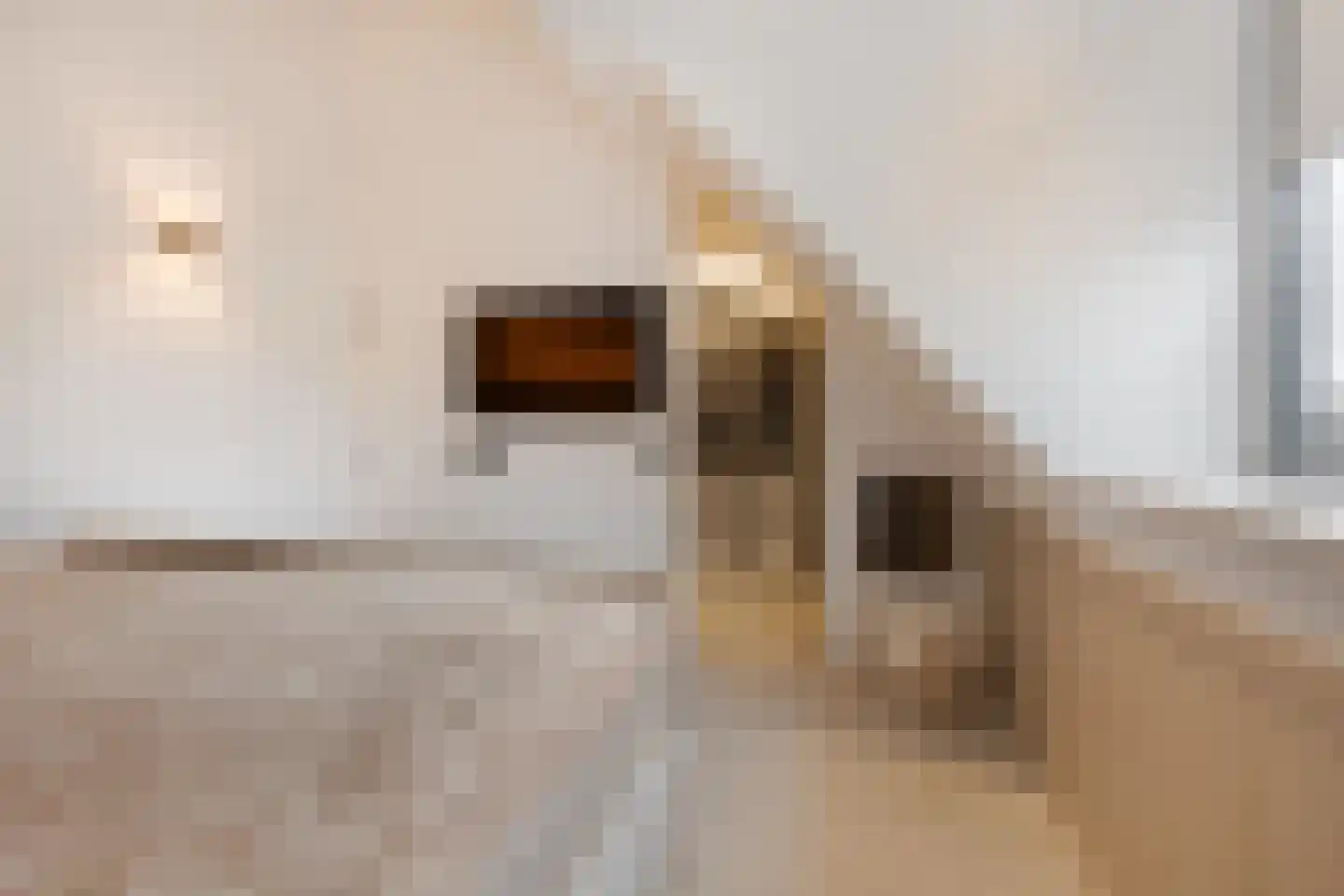 Zwanenburgerdijk 29 Vijfhuizen thumbnail 30