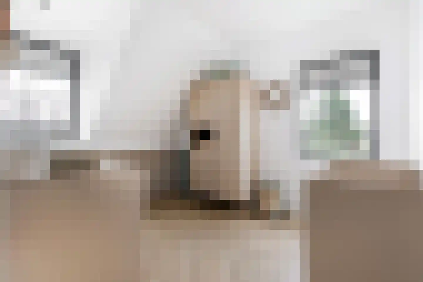 Zwanenburgerdijk 29 Vijfhuizen thumbnail 33