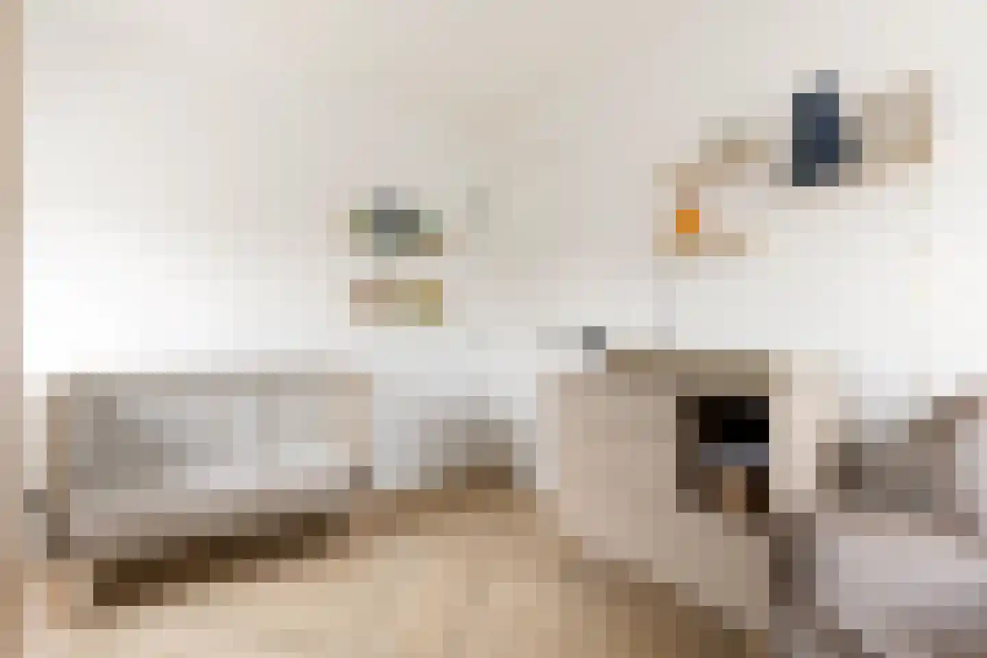 Zwanenburgerdijk 29 Vijfhuizen thumbnail 34
