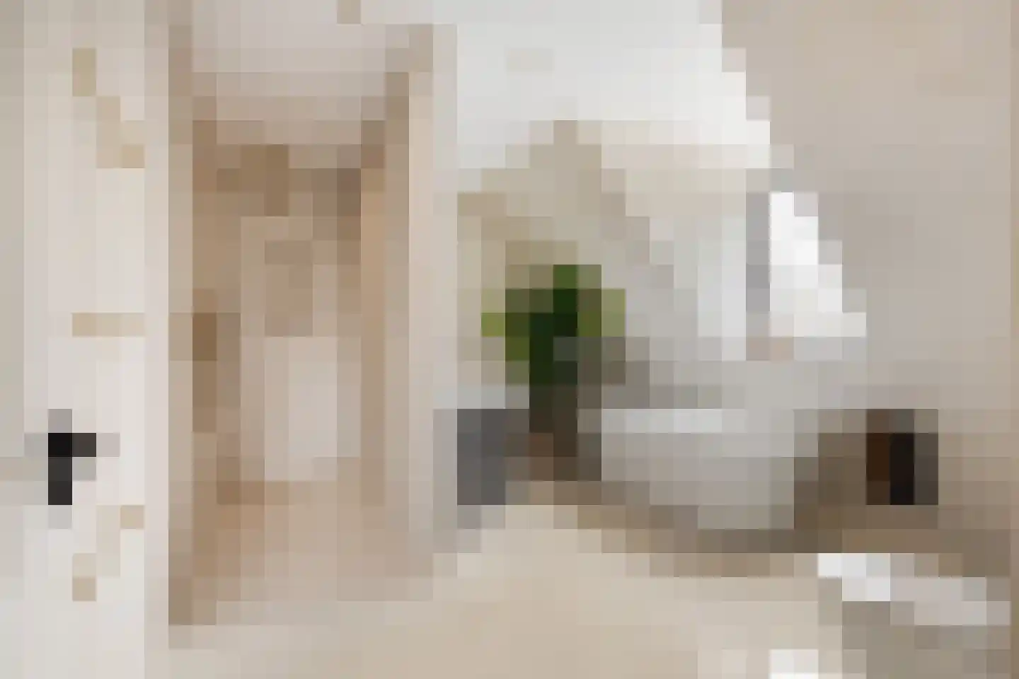 Zwanenburgerdijk 29 Vijfhuizen thumbnail 36