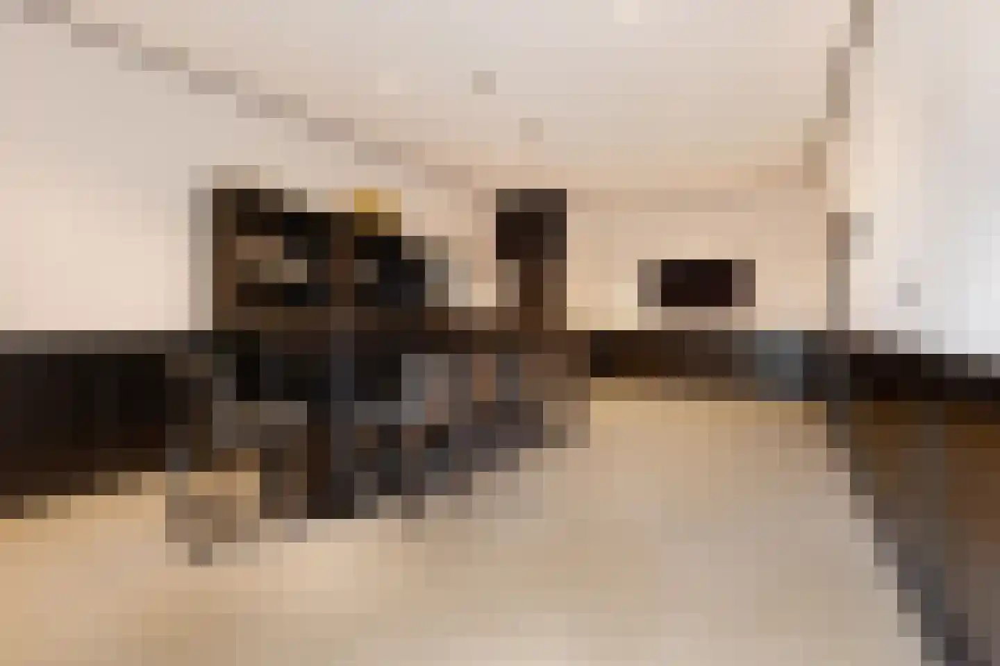 Zwanenburgerdijk 29 Vijfhuizen thumbnail 43