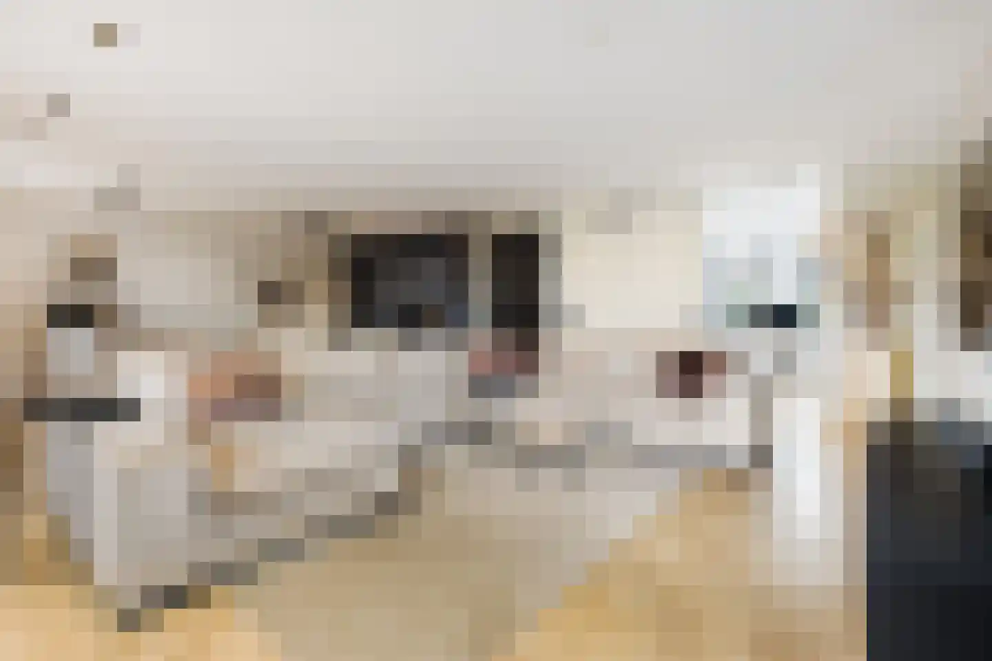 Zwanenburgerdijk 29 Vijfhuizen thumbnail 5