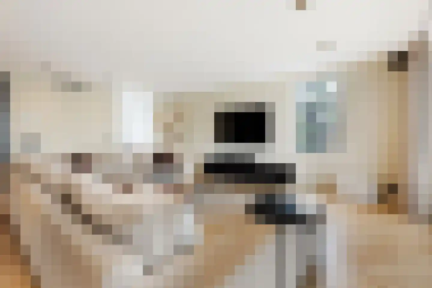 Zwanenburgerdijk 29 Vijfhuizen thumbnail 6